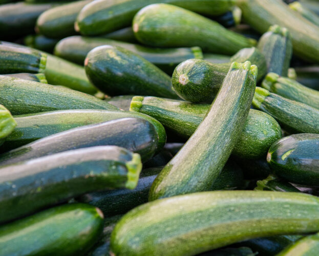 Too Much Zucchini?